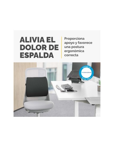 Respaldo ergonomico fellowes lumbar acolchado breyta comfort color negro 330x380x90 mm