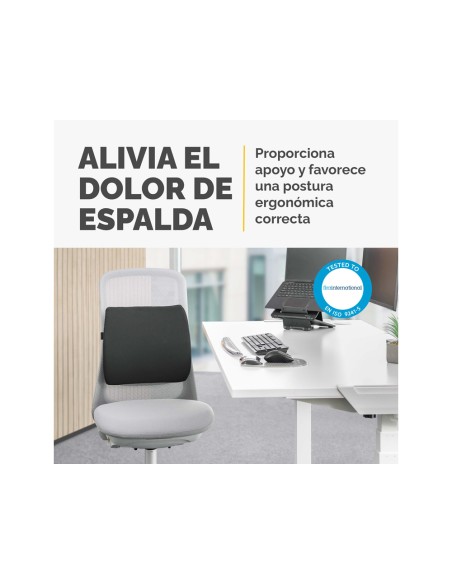 Respaldo ergonomico fellowes lumbar acolchado breyta comfort color negro 330x380x90 mm