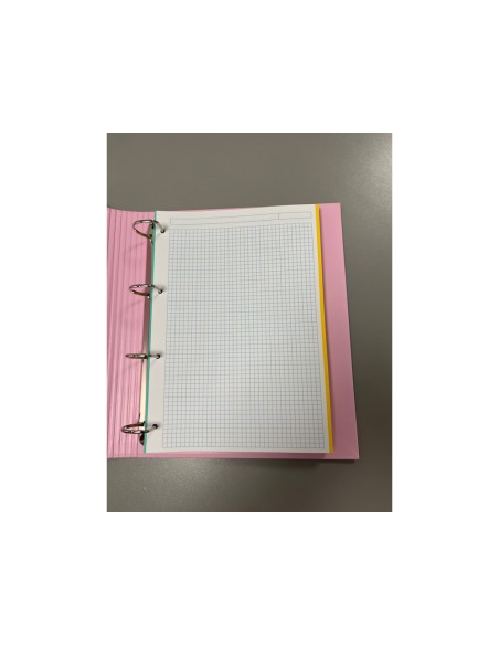 Carpeta con recambio pardo din a4 carton forrado 4 anillas 35 mm pastel minimal expositor de 8 unidades