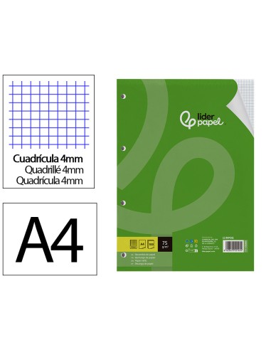 Recambio liderpapel din a4 100 hojas 75 gr cuadro 4 mm con margen sin taladros